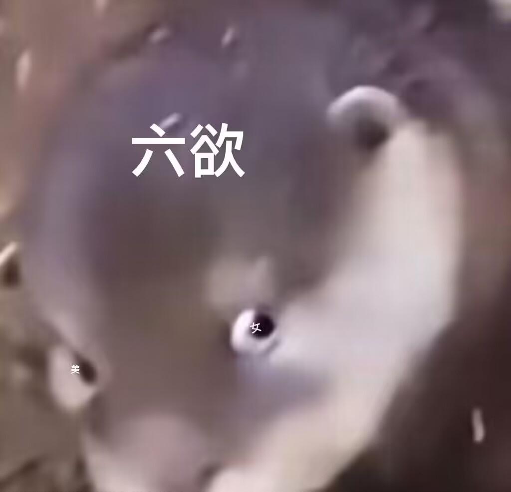 [图片]