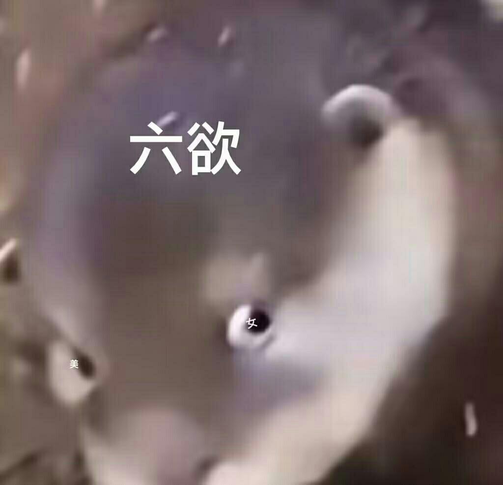 [图片]