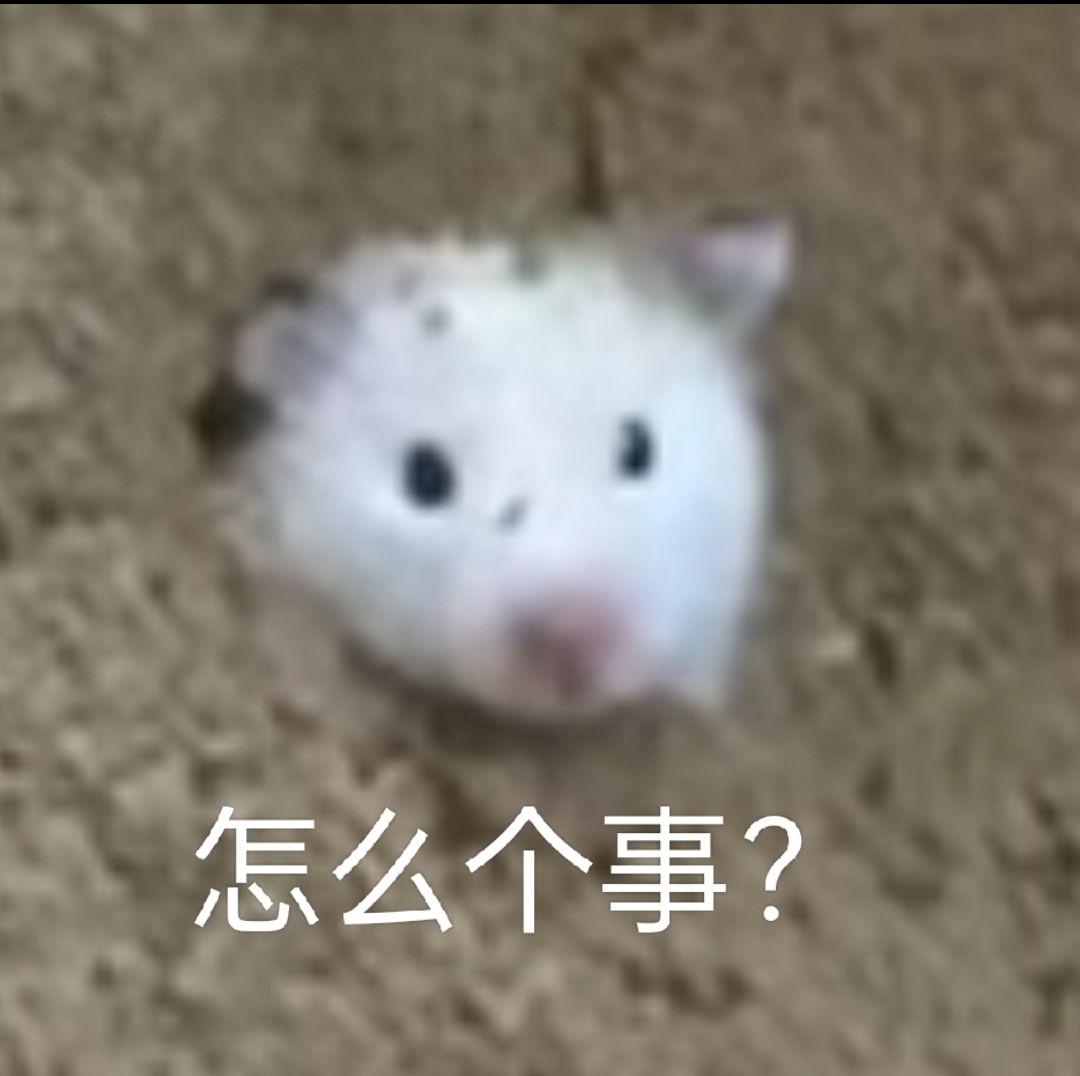 [图片]