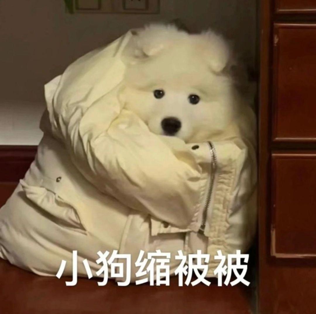 [图片]