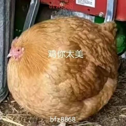 [图片]