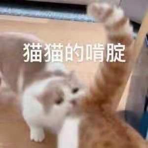 [图片]