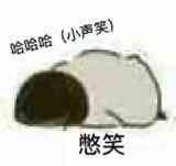 [图片]
