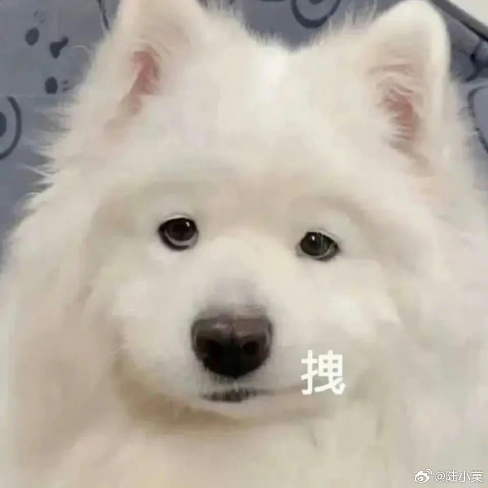 [图片]