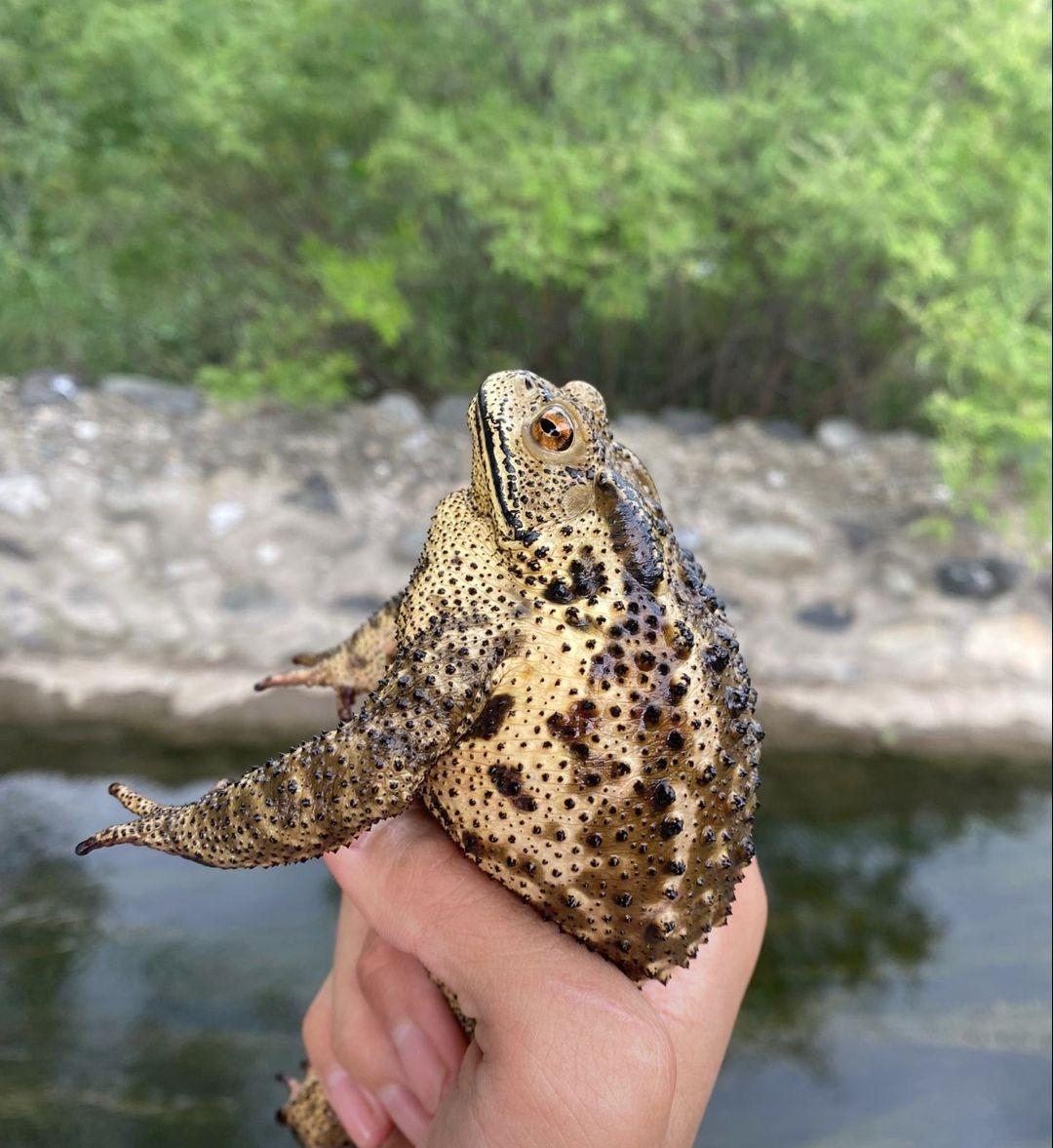 [图片]