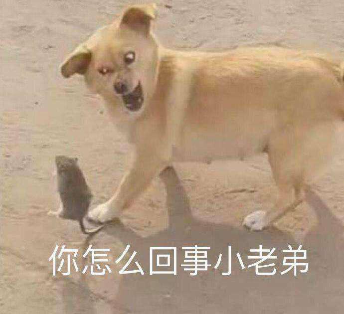 [图片]