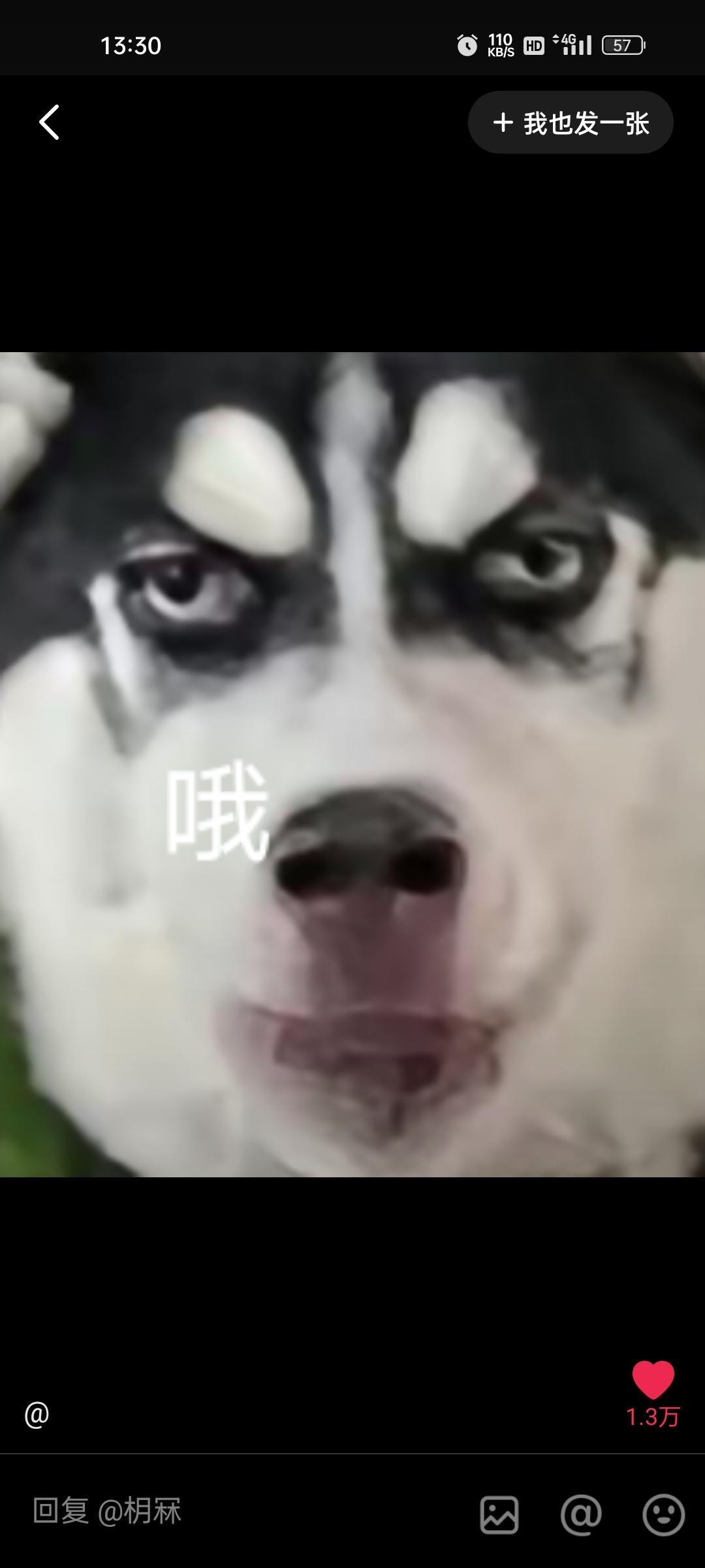 [图片]