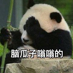 [图片]