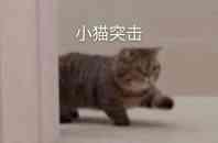 [图片]