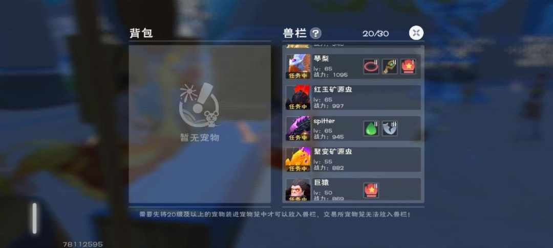[图片]