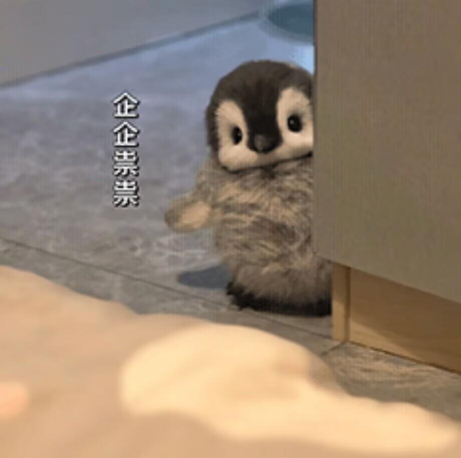 [图片]