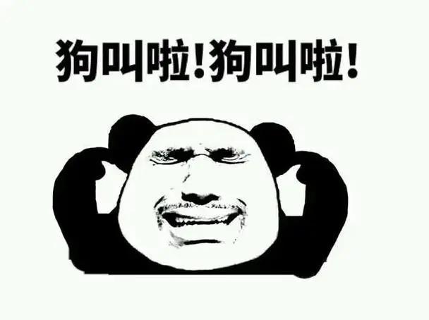 [图片]