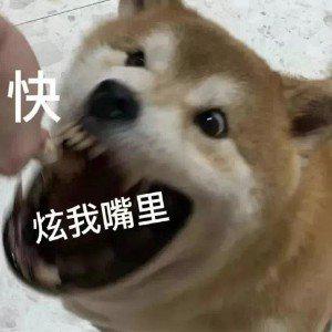 [图片]