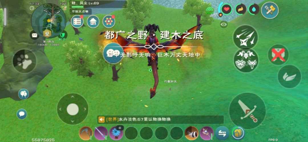 [图片]