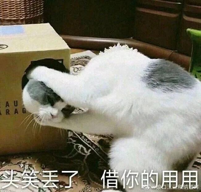 [图片]