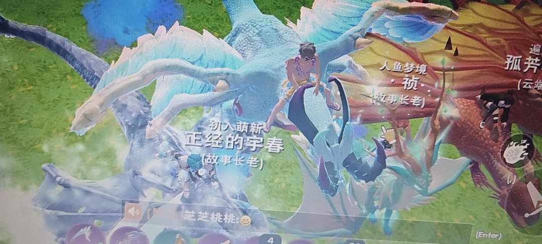 [图片]