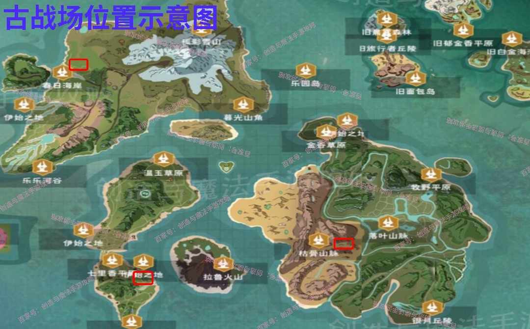 [图片]