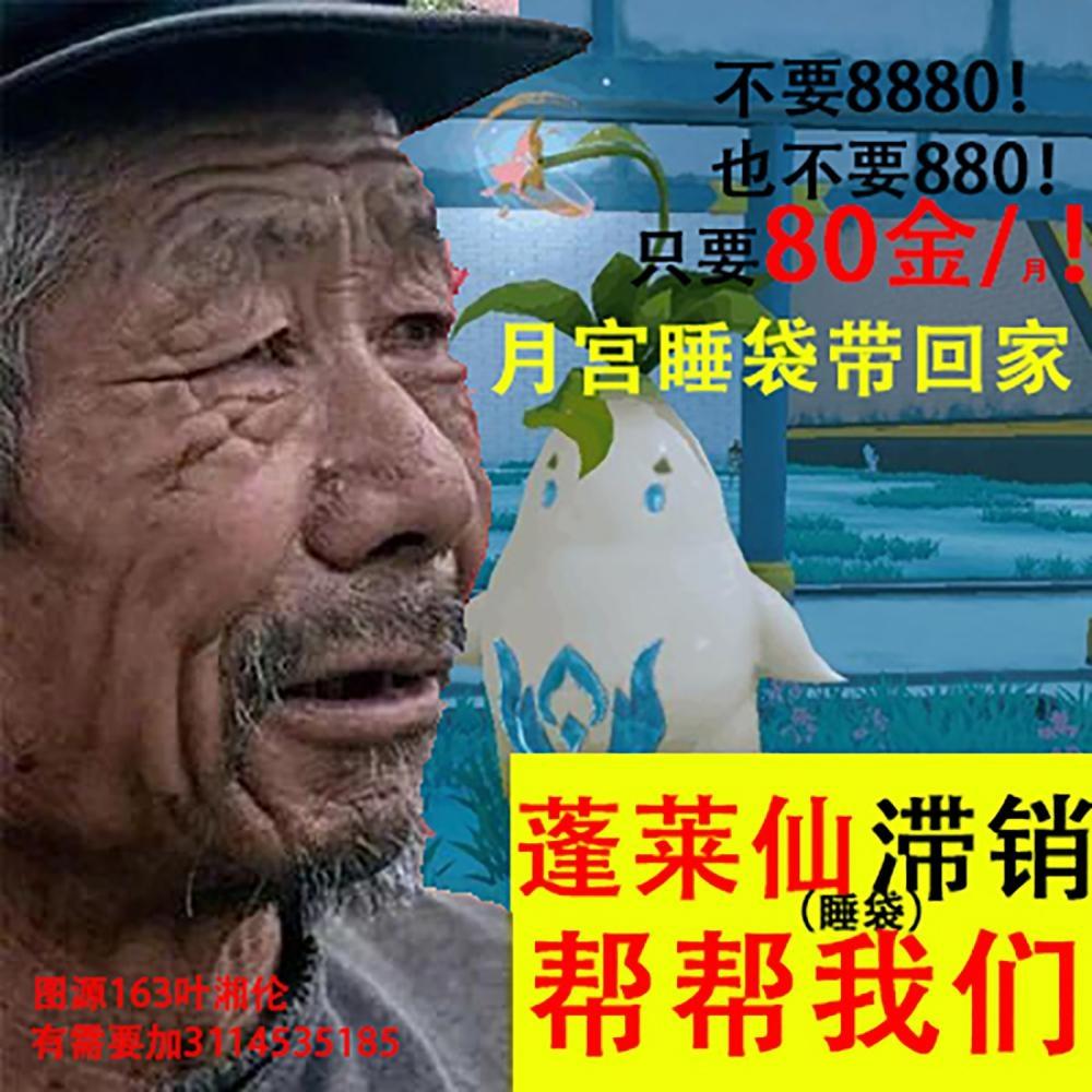 [图片]
