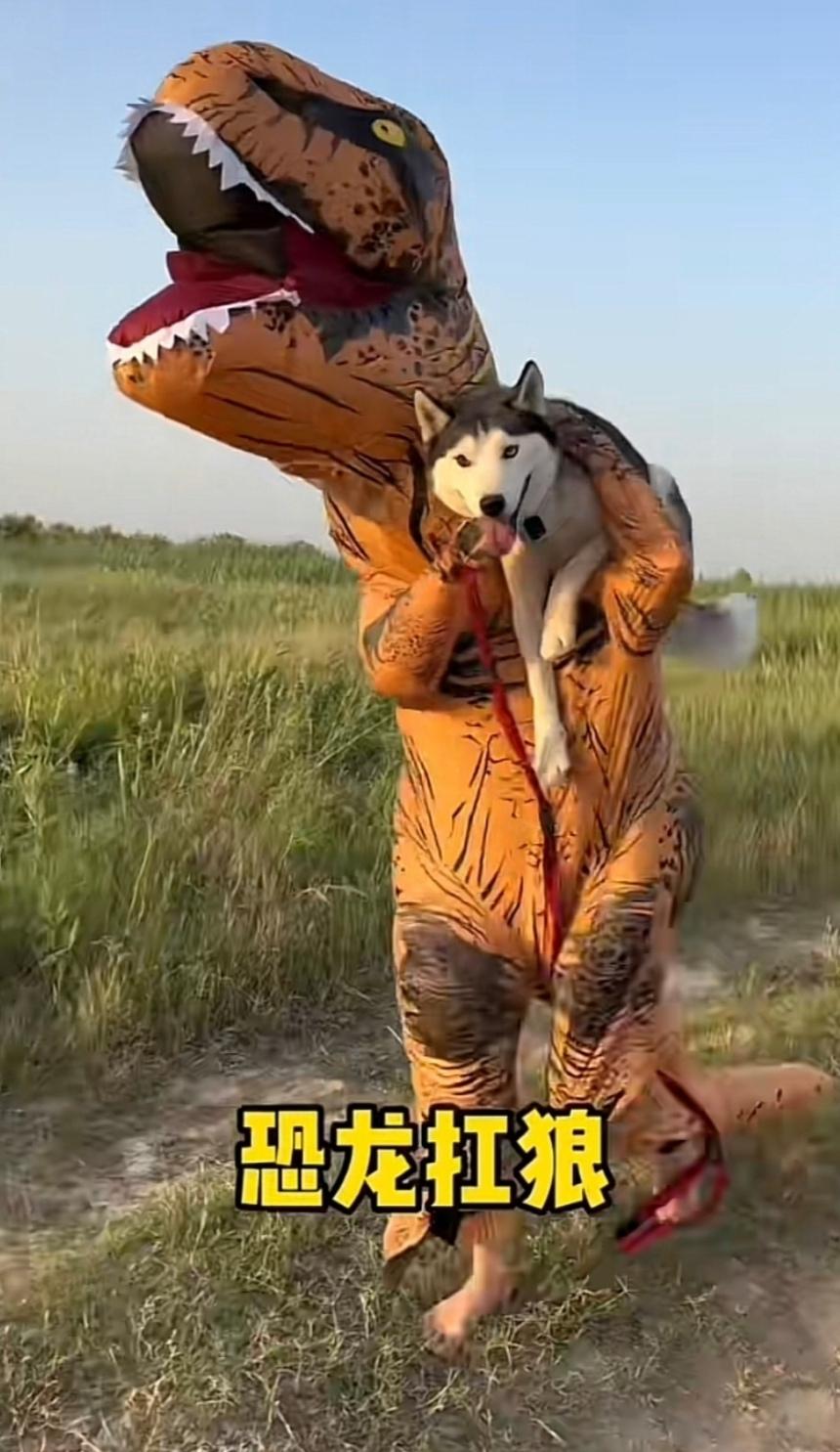[图片]