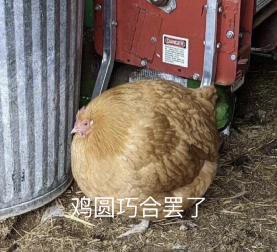 [图片]
