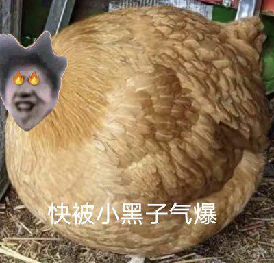 [图片]