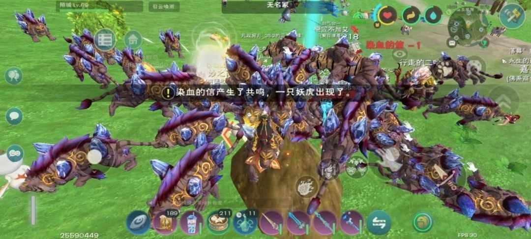 [图片]