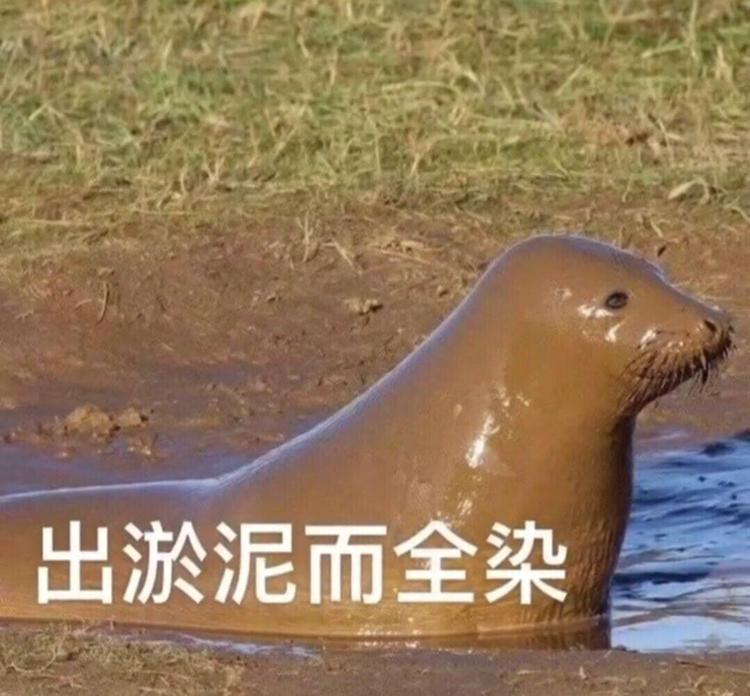[图片]