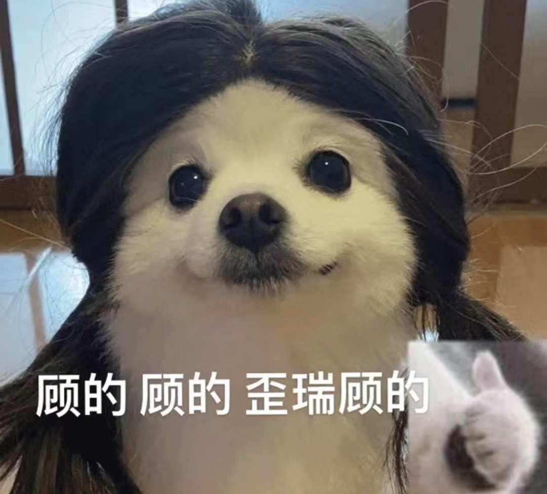 [图片]