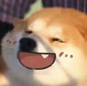 [图片]