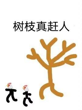 [图片]