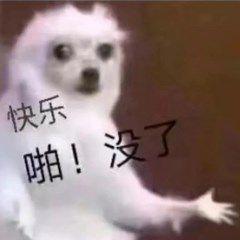[图片]