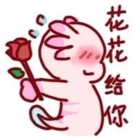 [图片]