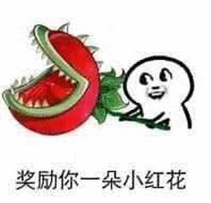 [图片]