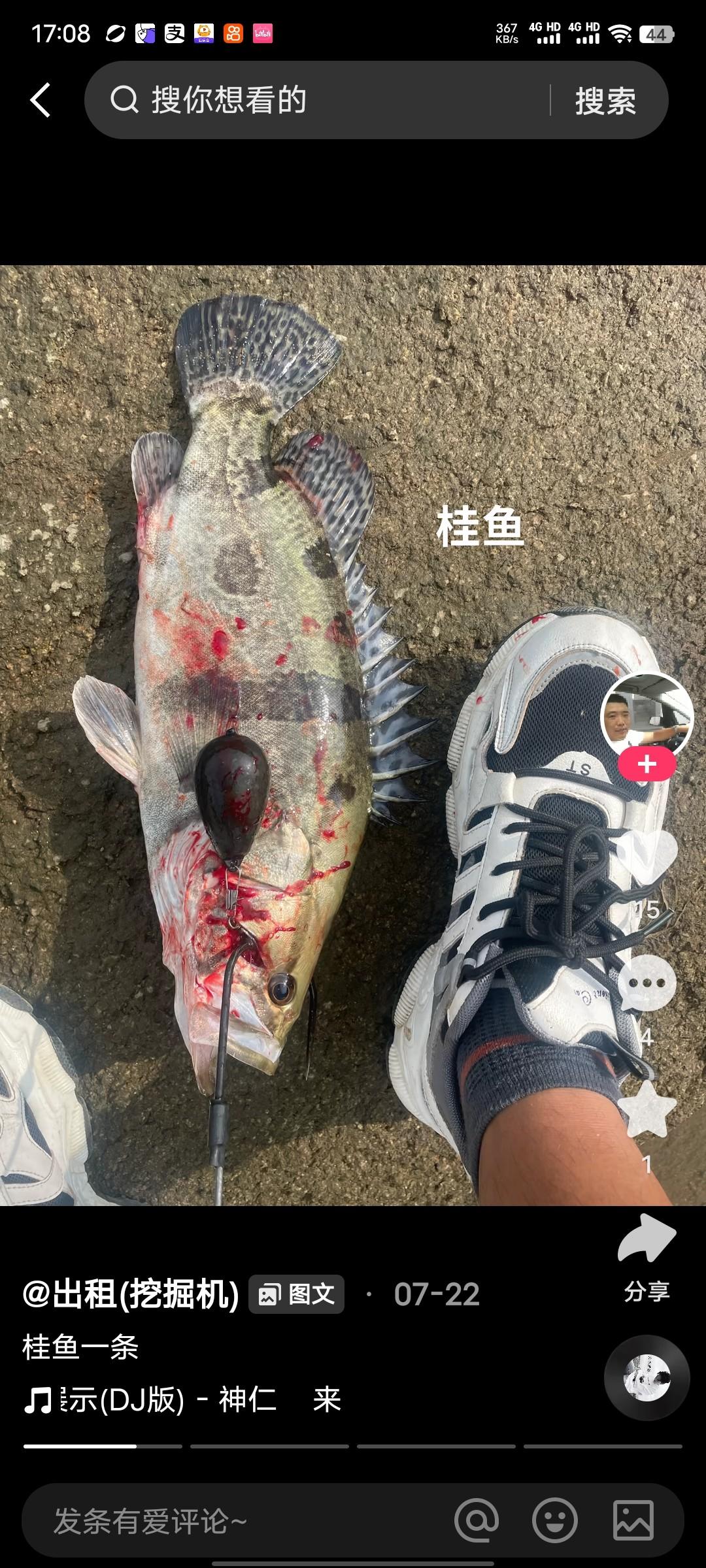 [图片]