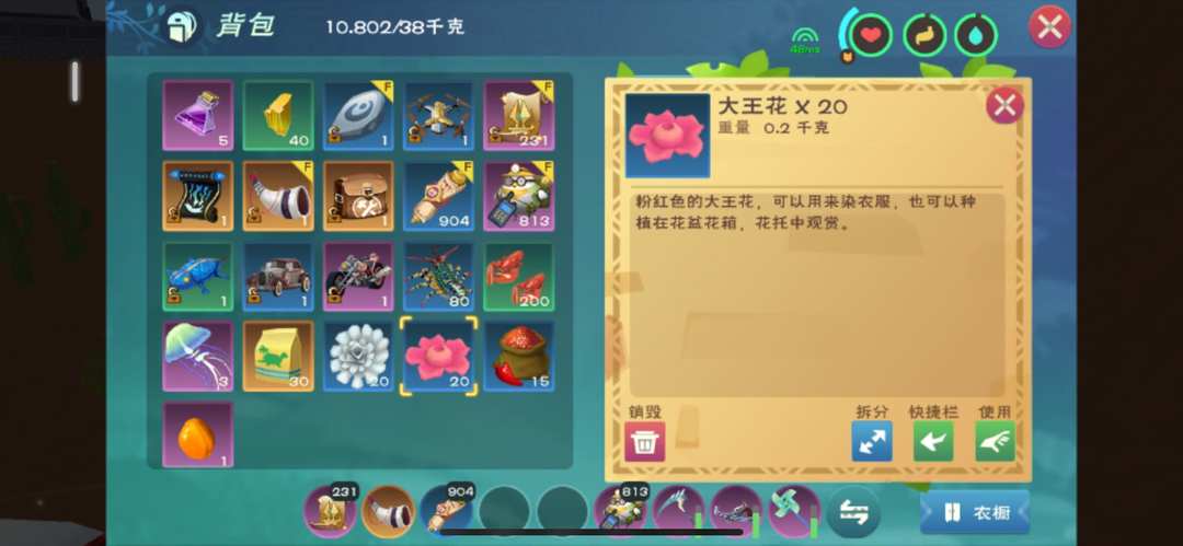 [图片]