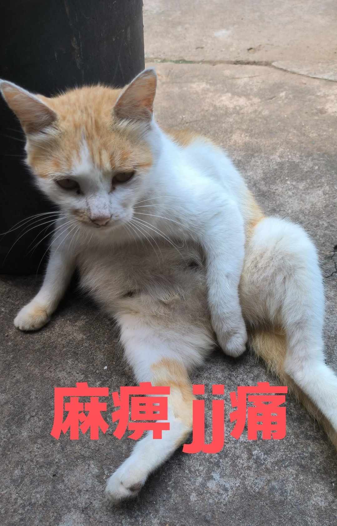 [图片]