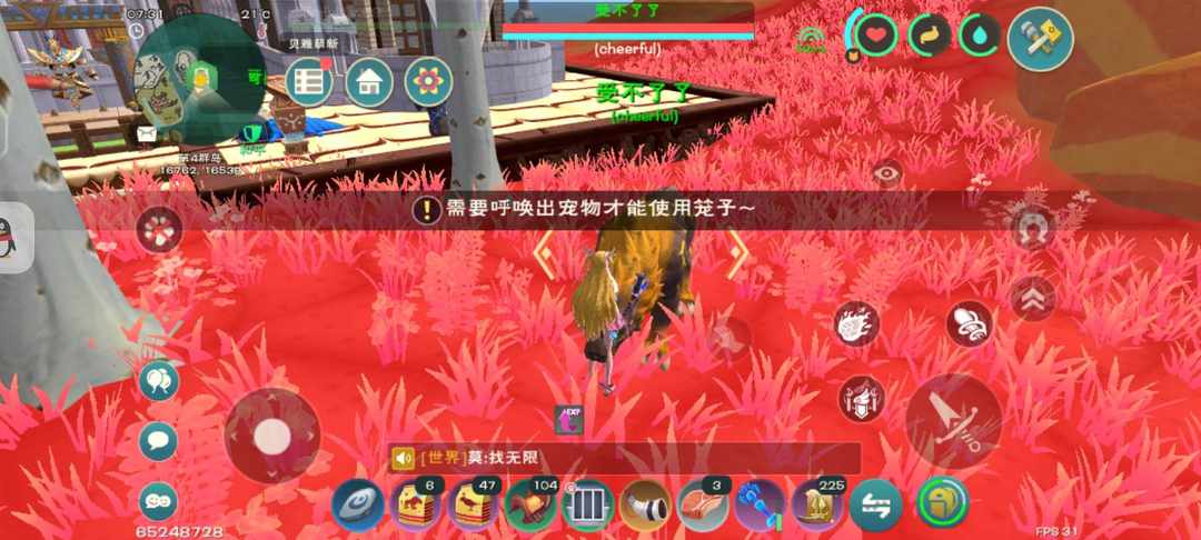 [图片]