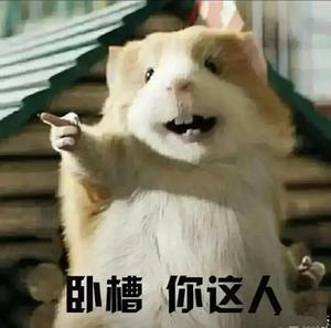 [图片]