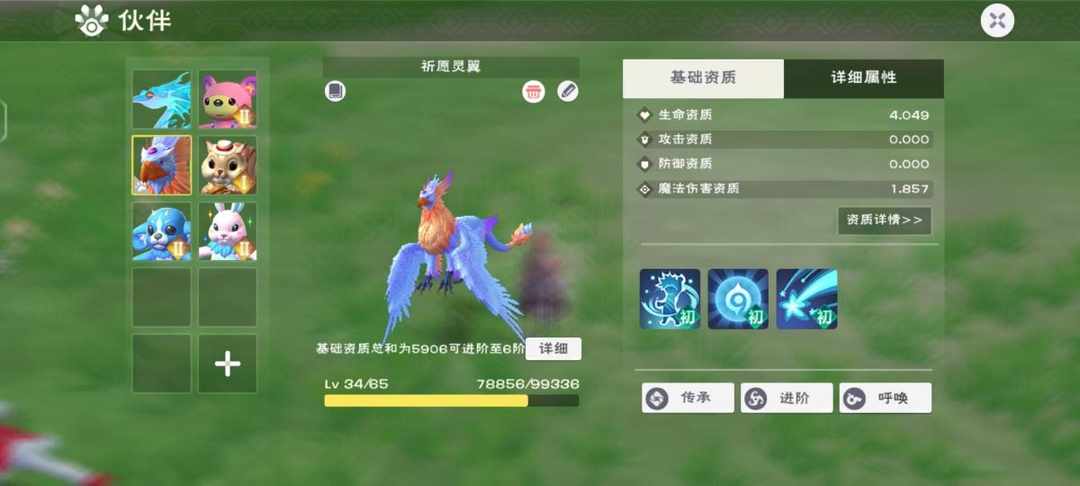 [图片]