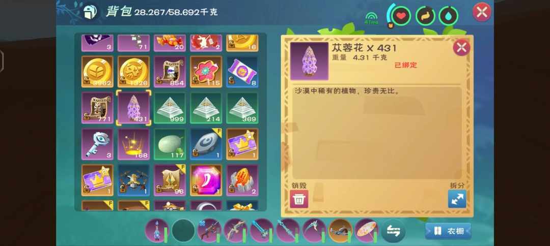 [图片]
