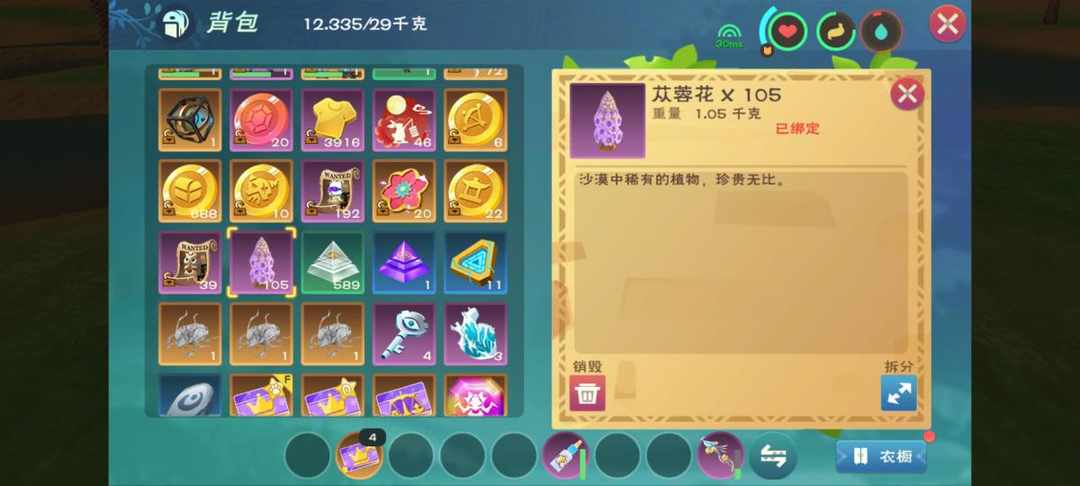 [图片]