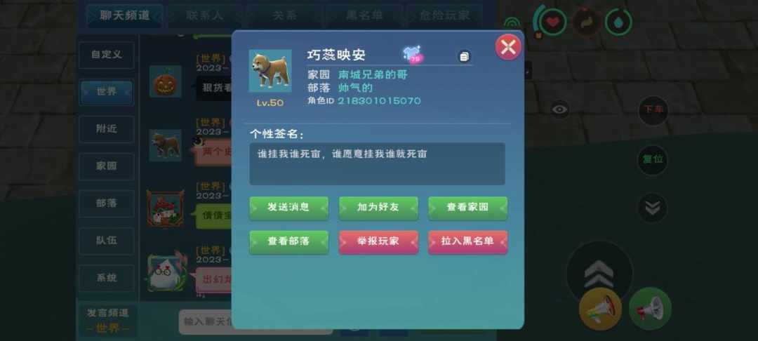 [图片]