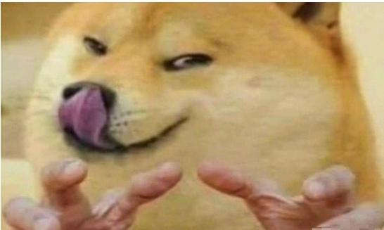 [图片]