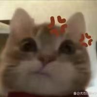 [图片]