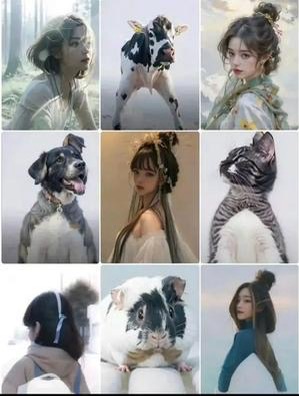 [图片]