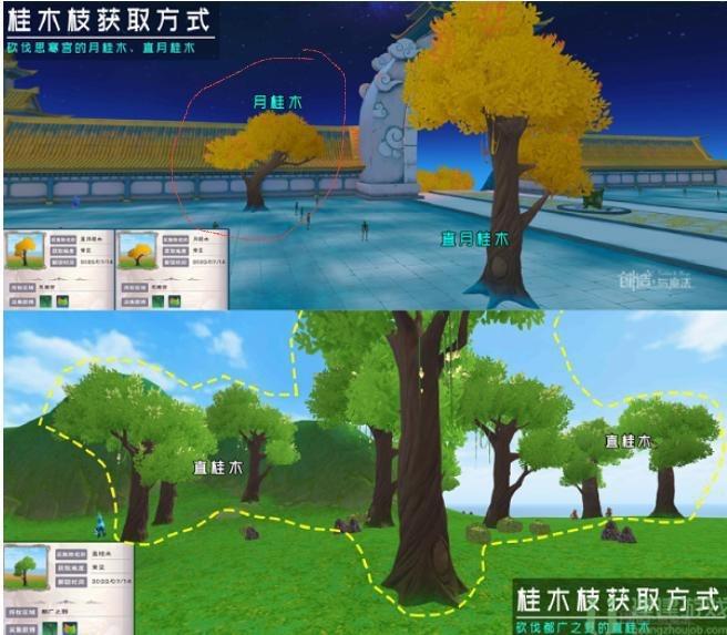 [图片]