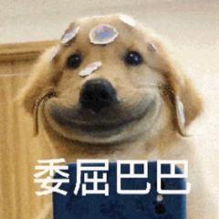 [图片]