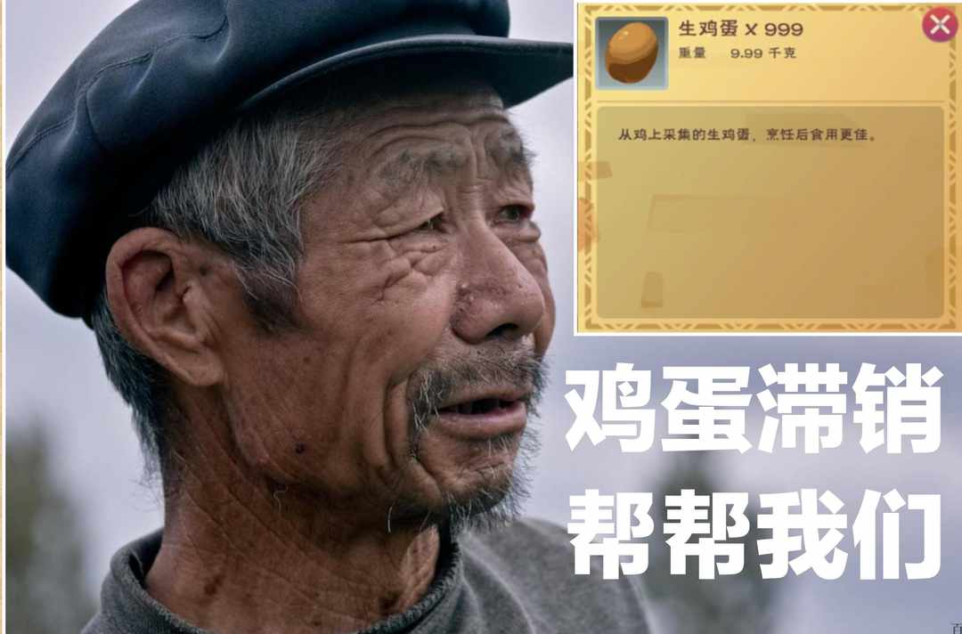 [图片]