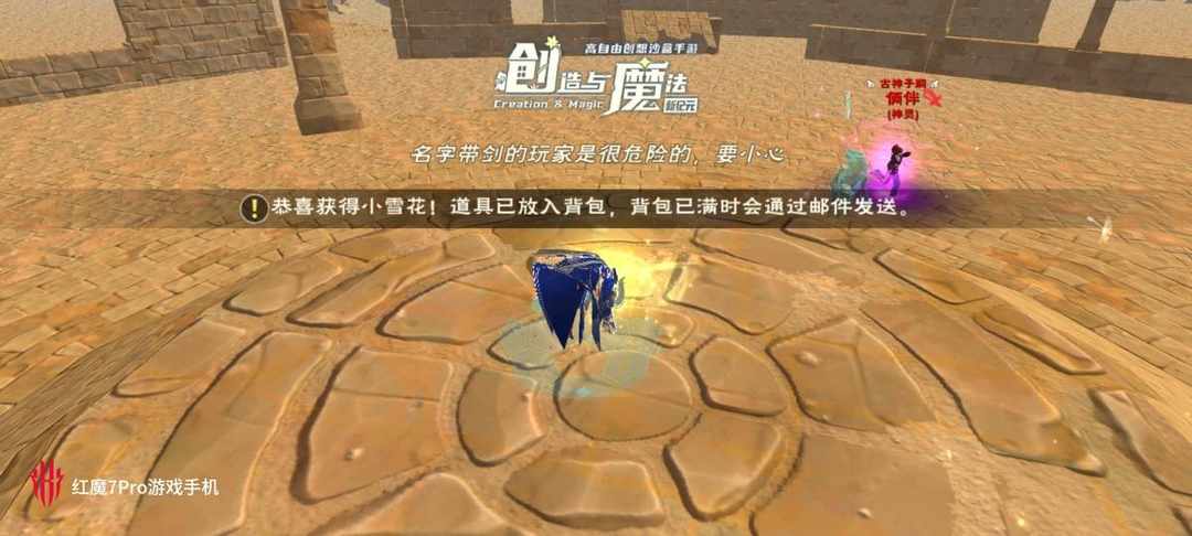 [图片]