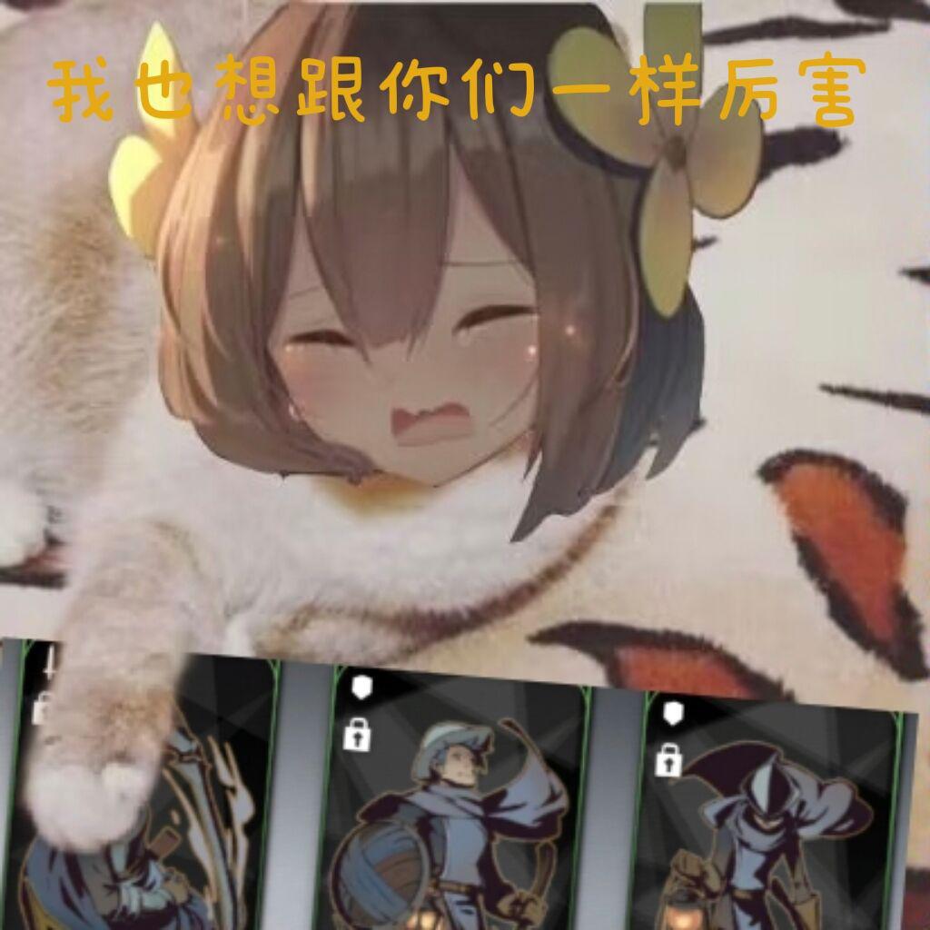 [图片]